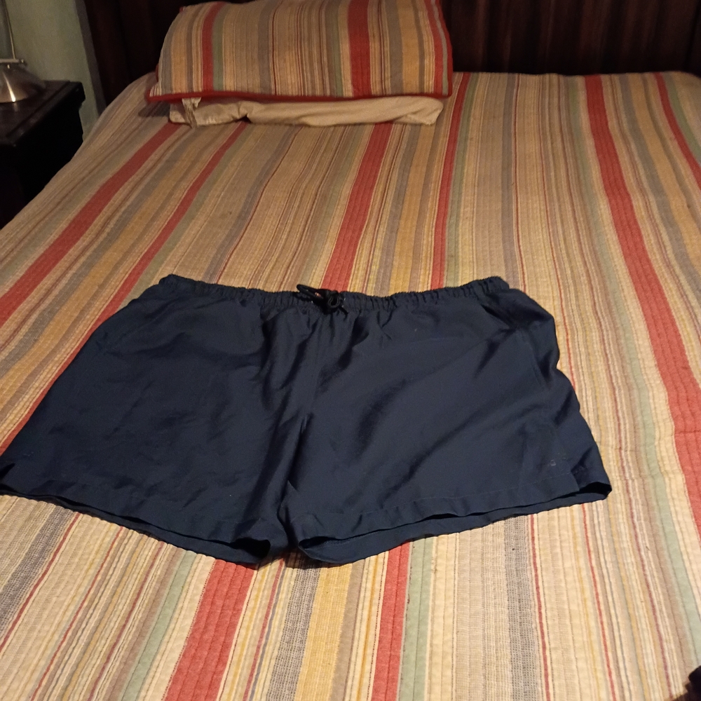 DSG Navy Blue Men's Flat Front Shorts